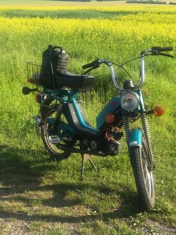 Babetta v úpravě - 4