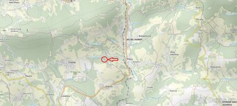 Prodám lesní pozemek v k.ú. Plavy - 4