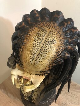 Busta Predator od Sideshow Collectibles (1404/2500) - 4