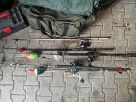 Kaprarina, sumcarina, privlac, fidr - 4