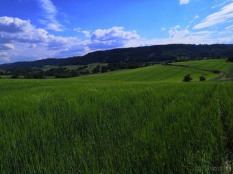 Pozemek/dům v Dolní Dobrouči - 4