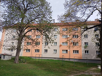 Byt 2+1 v Jihlavě, Vrchlického ul. - 4