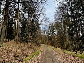 Lesní pozemek k.ú. Šerkovice 1.307m2 - 4