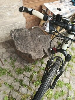 Koli - 4
