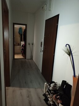 Prodej bytu 2+1 45m2 1.patro Olomouc - 4
