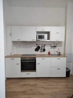 Ateliér 1+1 blízko Palmovky - 4