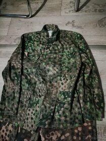 Maskáče hrachy, repro miltec - 4