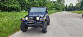Jeep Wrangler TJ 4,0 - 4