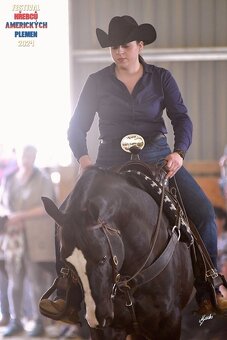Připouštění hřebcem APPALOOSA - 4