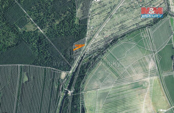 Prodej lesa, 130 m², Břeclav-Poštorná - 4