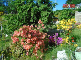 Prodej zahrady s chatkou v Jablonci nad Nisou - Mšeno - 4