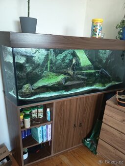 Akvárium - 4