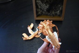 Rámeček s vloženou lebkou - 4