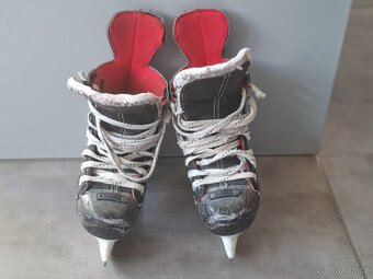 Brusle Bauer EUR 33,5 - 4