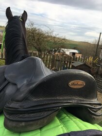 Drezurní Baloun F2 17,5/ 2 - 4
