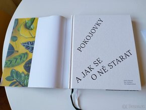 Pokojovky a jak se o ně starat - 4