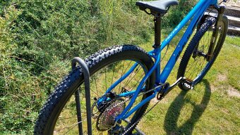 Amulet Rival 4.0 29 - 4