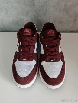 Nike SB Alleyoop 41 - 4