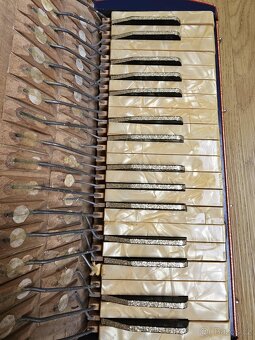 Vintage akordeon Strauss - 4