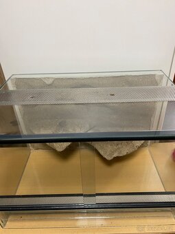 Terarium 60x39x39 - 4