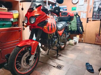 Triumph Tiger 955i - 4