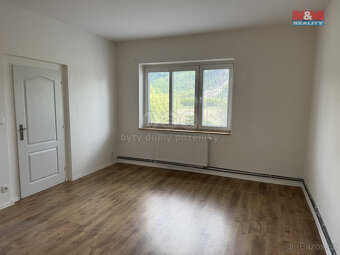Pronájem bytu 2+kk ve Valtířově, Velké Březno - 4