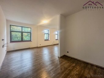 Pronájem bytu 1+kk  43 m², Holýšov, ev.č. yIGB059 - 4