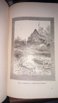 Květy 1885-1889 - 4