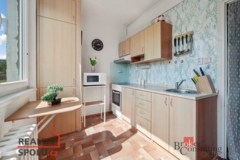 Prodej, byty/1+1, 35 m2, Sněženková 503, Horní Staré Město, - 4