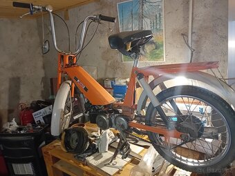 Jawa - 4