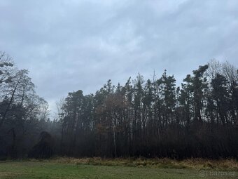 Prodám pozemky v k.ú. Břehy - 4