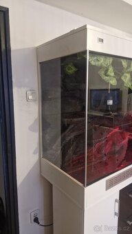 Terárium 120x105x55 - 4