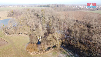 Prodej lesa, 2716 m², Neplachovice - 4