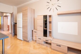 Pronájem prostorného bytu 3+kk v Plzni - Slovanech - 4