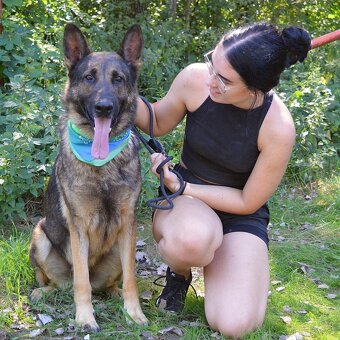 René hlada domov - 4