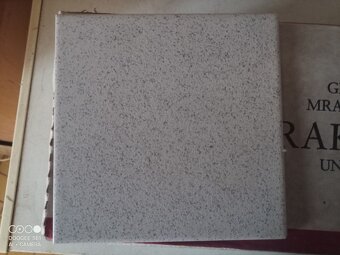 rako dlažba 24 m2 - 4