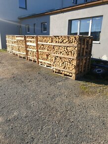 Prodám suche stipané palovové dřevo - 4