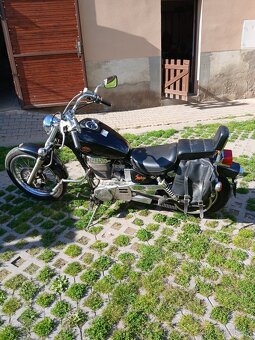 Suzuki 650 Savage - 4