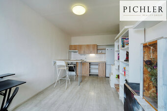 Prodej bytu 1+1, 34 m². Plzeň, Vinice - 4