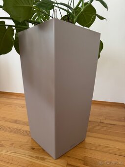 Samozavlažovací květináč Lechuza s velkým fikusem elastica - 4