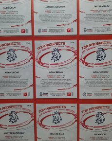 kompletní sada TOP PROSPECTS ( 9 kusů ) Hokejové Česko 2024 - 4