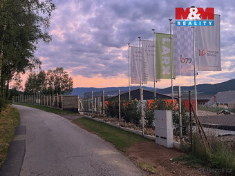 Pronájem skladu, 750 m², Těšovice - 4