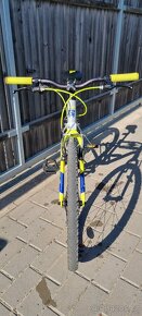 ROCK MACHINE THUNDER 24" - 4