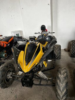 650 Campell Bashan 250 - 4