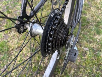 Kolo Leader Fox 24" - 4