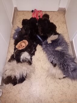 Krampus kalhoty plus pater - 4
