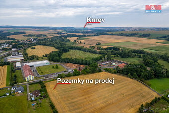 Prodej pozemku k bydlení, 6975 m², Brumovice - Skrochovice - 4