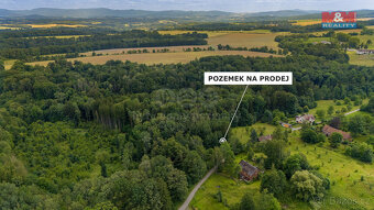 Prodej lesa, 3376 m², Višňová - 4