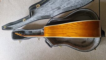 Kytara Washburn - 4