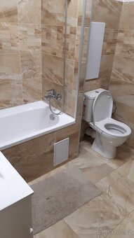 Rekonstrukce bytů a domů, malování - 4